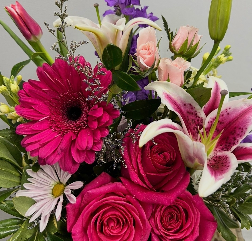 designers-choice-wrap